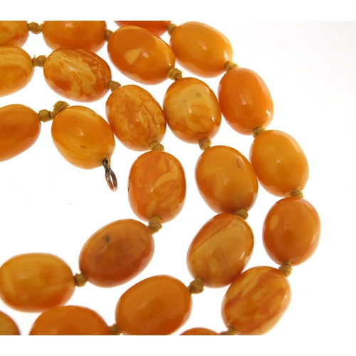 360 - Butterscotch amber coloured bead necklace with 9ct gold clasp, 64cm in length, 40.8g