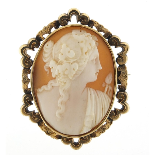 443 - Victorian cameo maiden head brooch with gold coloured metal mount, 5cm high, 10.2g