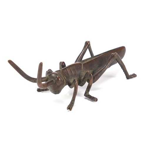 2421 - Large Japanese patinated bronze locust, 11cm in length