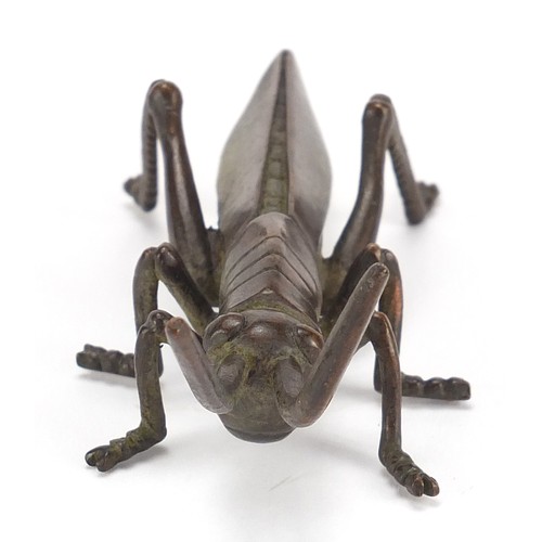 2421 - Large Japanese patinated bronze locust, 11cm in length