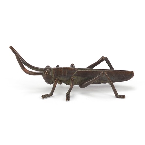 2421 - Large Japanese patinated bronze locust, 11cm in length