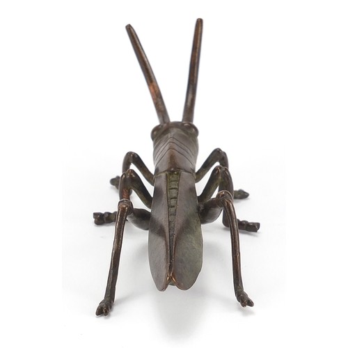 2421 - Large Japanese patinated bronze locust, 11cm in length