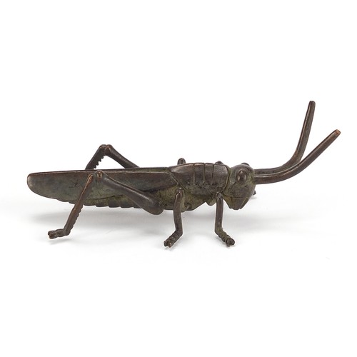 2421 - Large Japanese patinated bronze locust, 11cm in length