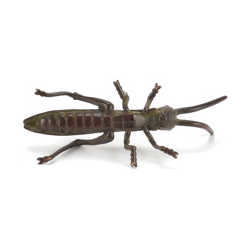 2421 - Large Japanese patinated bronze locust, 11cm in length