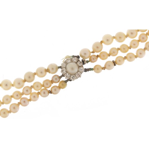 198 - Three row graduated pearl necklace with diamond clasp, the largest pearl approximately 8mm in diamet... 