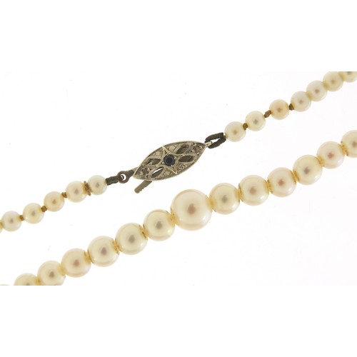 318 - Graduated pearl necklace with 9ct white gold clasp, set with sapphire and diamonds, housed in a Gold... 