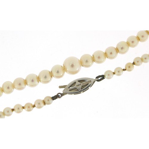 318 - Graduated pearl necklace with 9ct white gold clasp, set with sapphire and diamonds, housed in a Gold... 