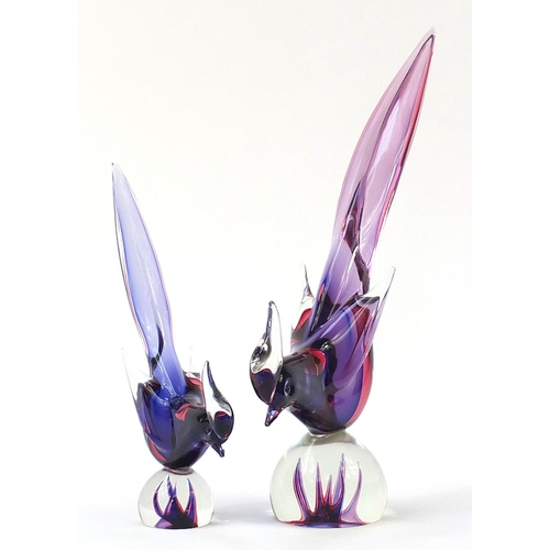 438 - Two Murano style glass birds, the largest 47cm high