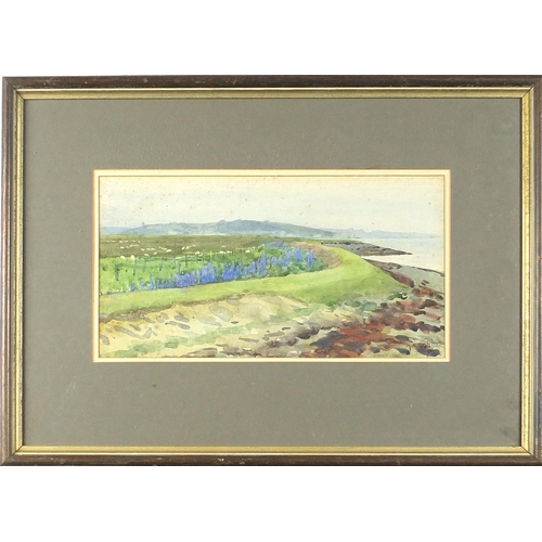 665 - Thomas Cooper Gotch - Coastal landscape, late 19th/early 20th century watercolour, mounted, framed a... 