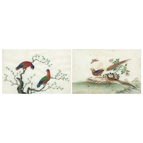 100 - Birds of Paradise amongst trees and flowers, pair of Chinese watercolours on pith paper, Ritchie Hen... 