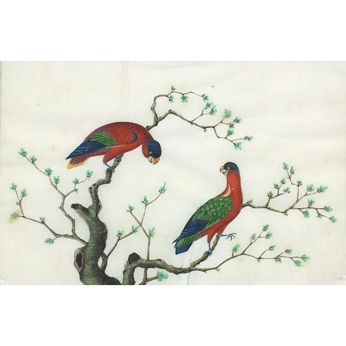 100 - Birds of Paradise amongst trees and flowers, pair of Chinese watercolours on pith paper, Ritchie Hen... 