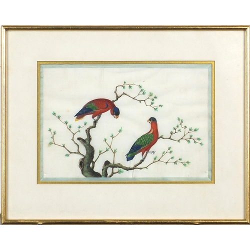 100 - Birds of Paradise amongst trees and flowers, pair of Chinese watercolours on pith paper, Ritchie Hen... 