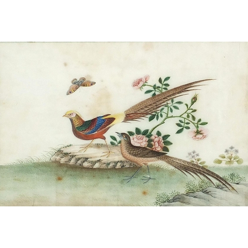 100 - Birds of Paradise amongst trees and flowers, pair of Chinese watercolours on pith paper, Ritchie Hen... 