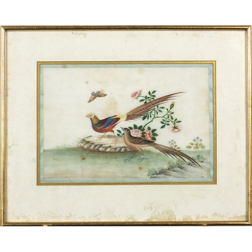 100 - Birds of Paradise amongst trees and flowers, pair of Chinese watercolours on pith paper, Ritchie Hen... 