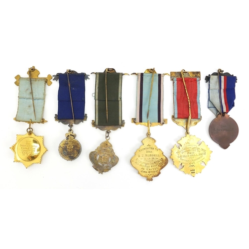 2550 - Six RAOB enamelled jewels with ribbons, some silver, awarded to Bro Sidney E Russell, including Role... 