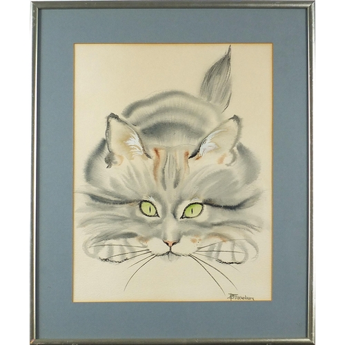 648 - Sandra Finkenberg - Portrait of a cat, New York watercolour, details verso, mounted, framed and glaz... 