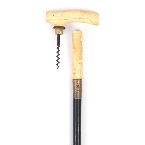 320 - Ebonised walking stick with ivory handle and silver collar concealing a corkscrew, 87cm in length