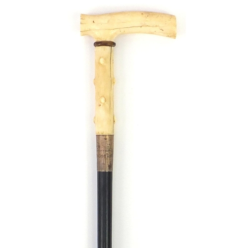 320 - Ebonised walking stick with ivory handle and silver collar concealing a corkscrew, 87cm in length