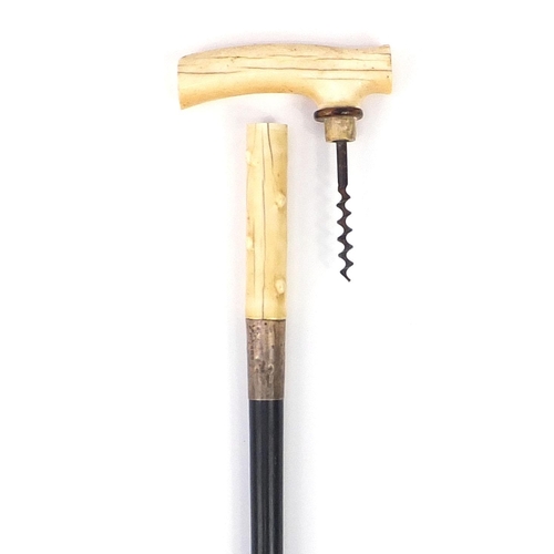 320 - Ebonised walking stick with ivory handle and silver collar concealing a corkscrew, 87cm in length