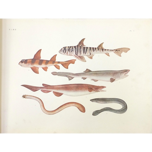 Illustrations of Japanese Aquatic Plants and Animals, volume 1, hardback  book published Tokyo, Fishe