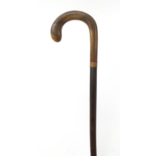 317 - Segmented horn walking stick with horn handle, possibly rhinoceros, 88cm in length