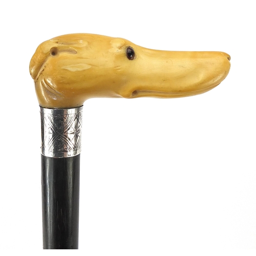 327 - Ebony walking stick with carved ivory pommel in the form of a dog's head with glass eyes, 89cm in le... 