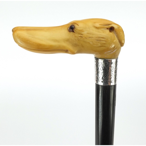 327 - Ebony walking stick with carved ivory pommel in the form of a dog's head with glass eyes, 89cm in le... 