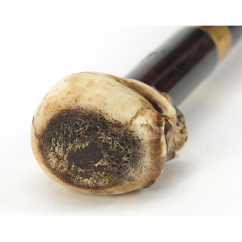 329 - Ebony walking stick with carved bone the pommel in the form of a skull, the cane 90cm in length