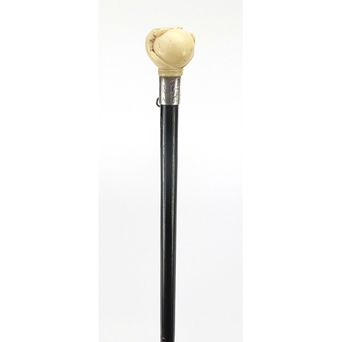 326 - Ebony walking stick with carved silver pommel being in the form of a hand holding a ball, 90cm in le... 