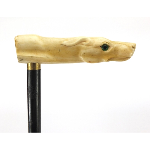 321 - Ebony walking stick with carved ivory pommel in the form of a dog's head with green glass eyes, 90cm... 