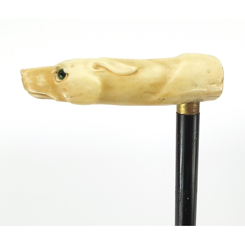 321 - Ebony walking stick with carved ivory pommel in the form of a dog's head with green glass eyes, 90cm... 