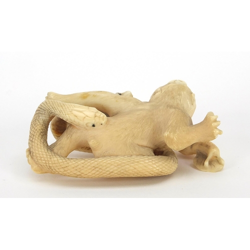 41 - Japanese carved ivory okimono depicting monkeys, frogs and a snake, 8cm in length