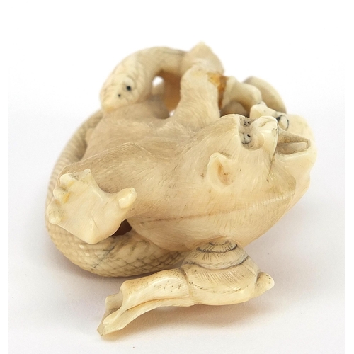 41 - Japanese carved ivory okimono depicting monkeys, frogs and a snake, 8cm in length