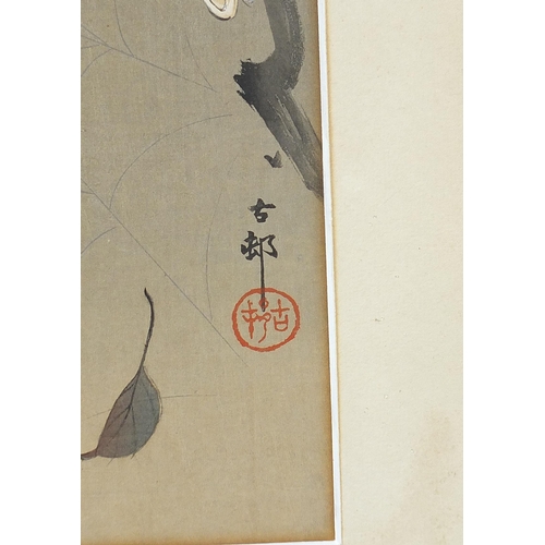 104A - Birds of paradise, pair of Japanese watercolours with character marks and red seal marks, mounted an... 