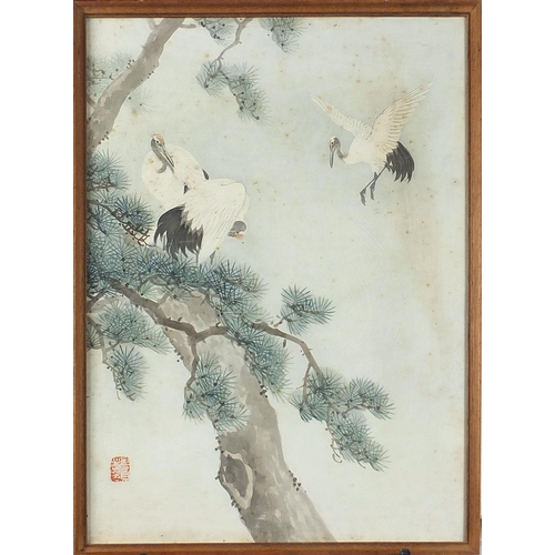 96A - Birds of paradise amongst trees, Chinese watercolour with red seal mark, framed and glazed, 37cm x 2... 