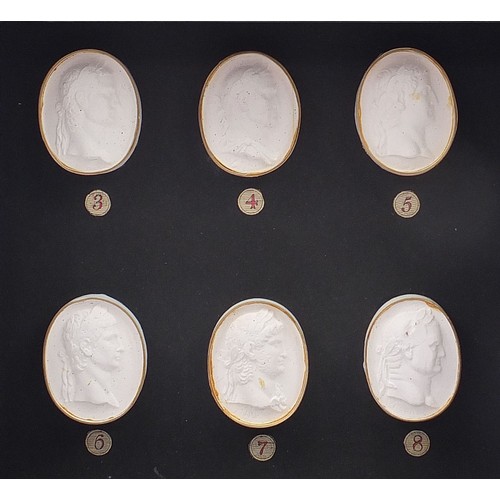 258 - Framed display of six Grand Tour style plaster cameos, overall 24.5cm x 23cm
