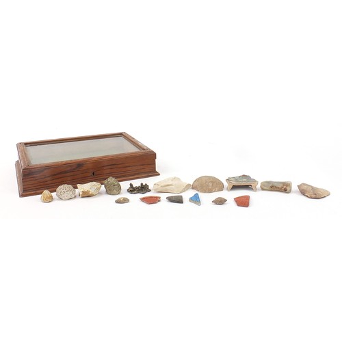 167 - Antiquities arranged in a glazed oak display case including stone fragments and a carved green hards... 