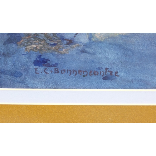 57 - Ernest Courtois de Bonnencontre - Moonlight, Argentinian Andes, watercolour, applied plaque to the m... 