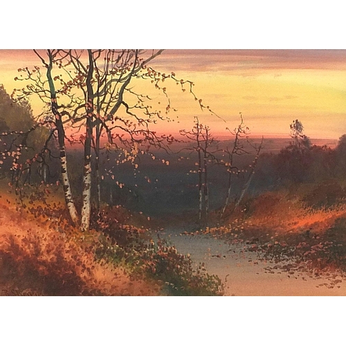 261 - Reginald Daniel Sherrin - Autumn landscape with silver birches, 20th century signed watercolour, mou... 