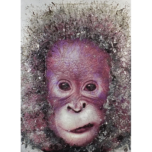 241 - Dan Pearce - Young orangutan, smashed glass and spray paint, framed, 99cm x 73cm excluding the frame