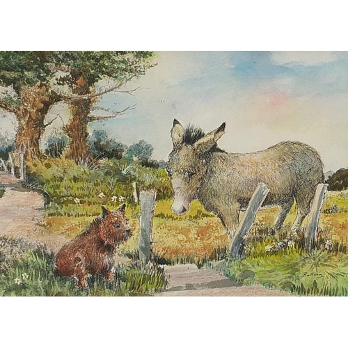 356 - Donkeys, two ink and watercolours, one signed Battram, mounted, framed and glazed, the largest 33.5c... 