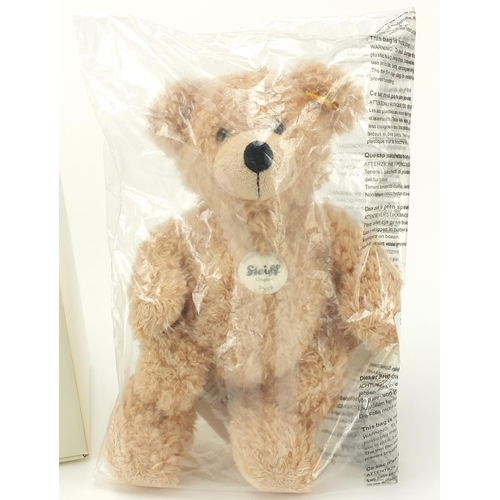 367 - Steiff Fynn teddy bear with box, 28cm high