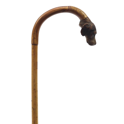 179 - Bamboo walking stick with carved dog's head design handle, 83cm in length