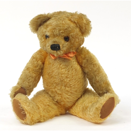 1944 - Large antique golden jointed teddy bear with glass eyes, 52cm high