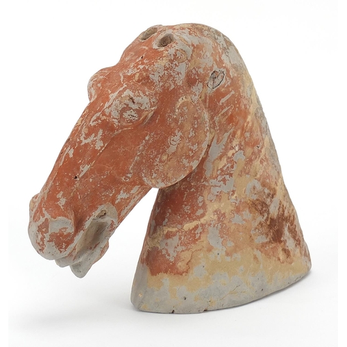 442 - Chinese terracotta horse head, 14.5cm high