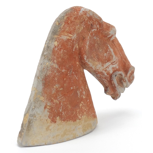 442 - Chinese terracotta horse head, 14.5cm high