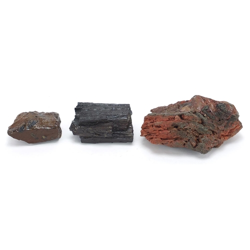 1903 - Three pieces of fossilised woods including North America Pet Red Lava