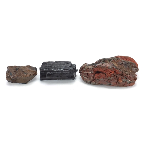 1903 - Three pieces of fossilised woods including North America Pet Red Lava