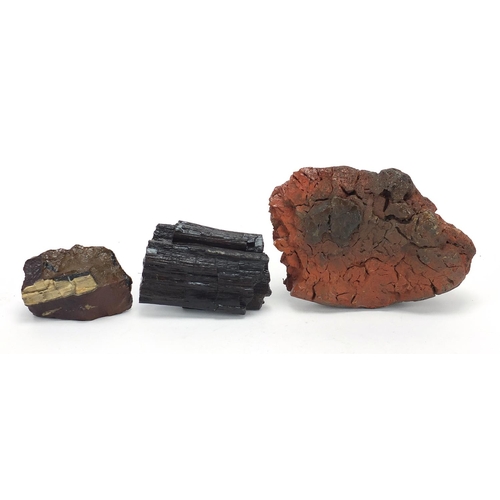 1903 - Three pieces of fossilised woods including North America Pet Red Lava