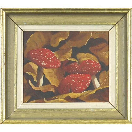 673 - David Evans 1984 - Toadstools, oil on board, mounted and framed, 17.5cm x 15cm excluding the mount a... 